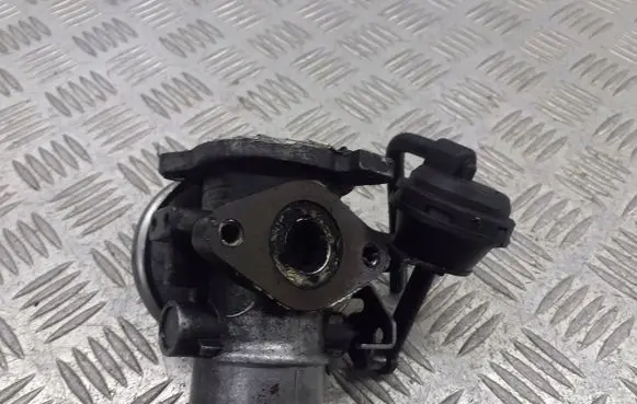 Volkswagen Polo IV 9N3 EGR valve 038129637B