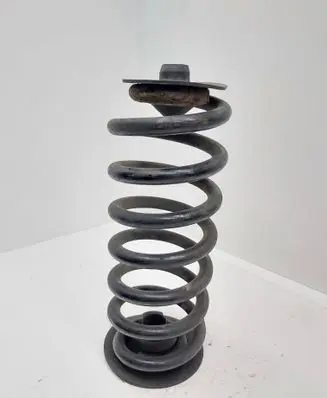 BMW X5 E53 Rear coil spring 6750351
