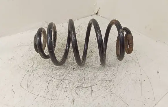 Volkswagen PASSAT B5 Rear coil spring
