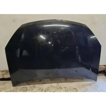 Engine bonnet/hood