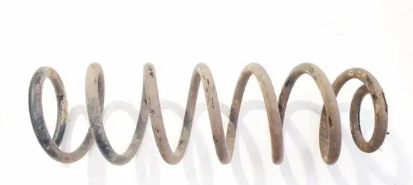Rear coil spring