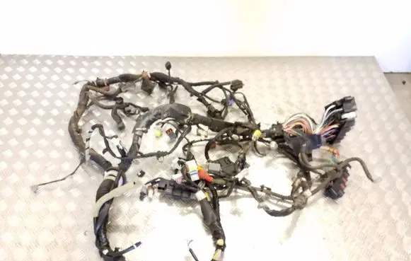 Subaru Outback (BS) Other wiring loom 81404AL452 161004 C05377