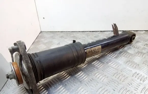 BMW X5 E70 Rear shock absorber/damper 6781931