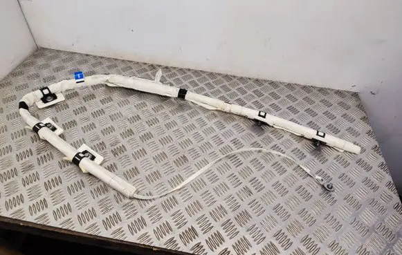 Ford Focus Roof airbag 1B6301500