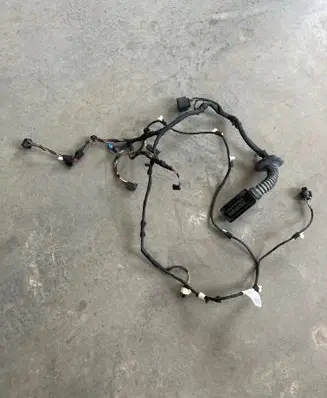 Front door wiring loom