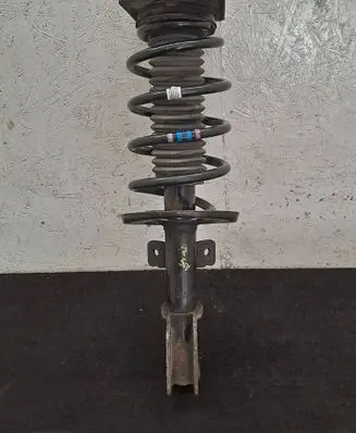 Citroen Jumpy Front shock absorber with coil spring 9821596780
