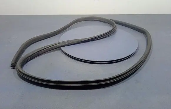 Ford S-MAX Front door rubber seal