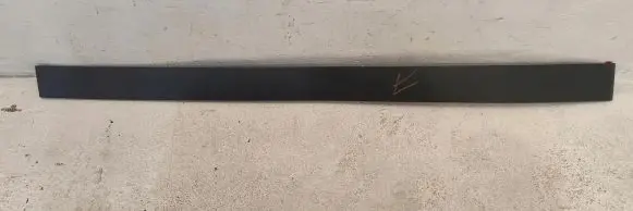Tesla Model X Front door trim (molding) 1035119-00-E
