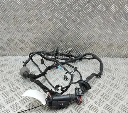 BMW XM Front door wiring loom 5A6A877