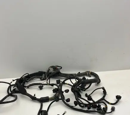 Engine installation wiring loom