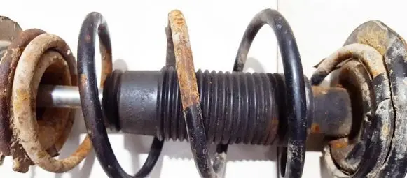 Fiat Punto (188) Front coil spring
