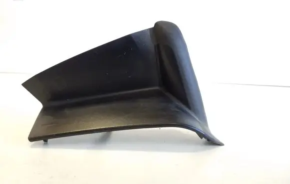 Rear/tail light trim molding
