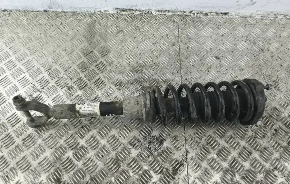 Mercedes-Benz CLS C219 Front shock absorber/damper A2193200813 801404000175