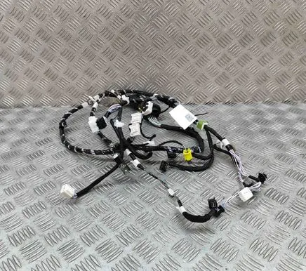 Lexus RX 450H Front door wiring loom 8215248F20