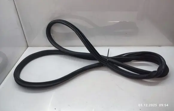 Mini Cooper Countryman R60 Front door rubber seal 
