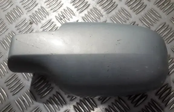 Renault Scenic II - Grand scenic II Plastic wing mirror trim cover