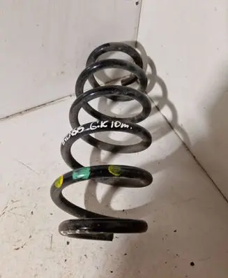Rear coil spring