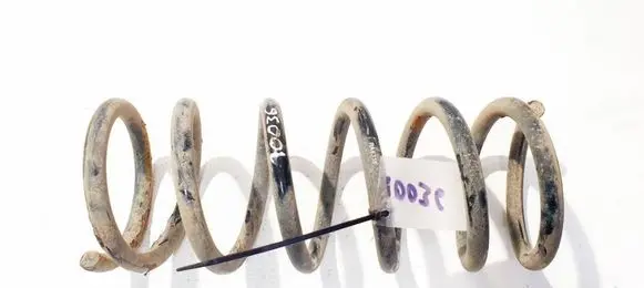 Rear coil spring