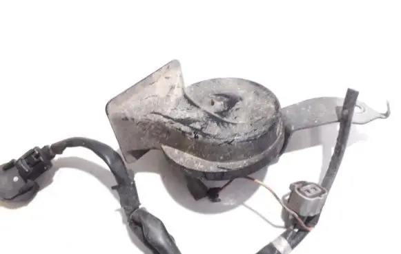 Horn signal