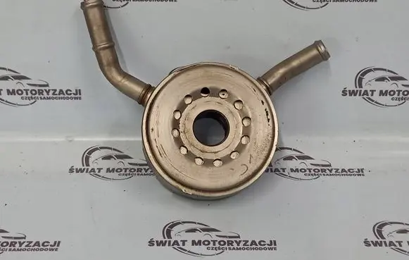 Nissan Juke I F15 Engine oil radiator 