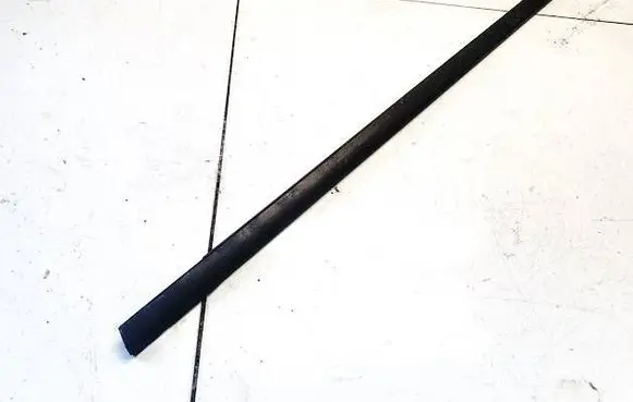 Honda Accord Front door glass trim molding 