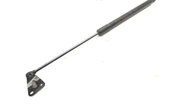 Toyota C-HR I Tailgate/trunk strut/damper 68960F4052