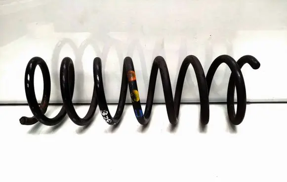Rear coil spring