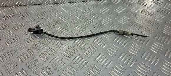 Exhaust gas temperature sensor