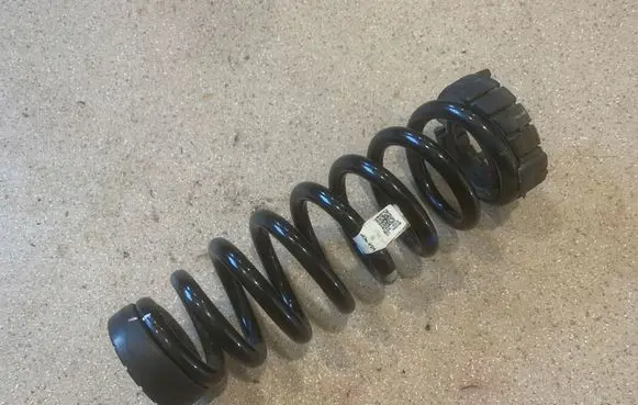 Rear coil spring