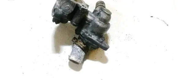 Ford Focus Engine coolant pipe/hose