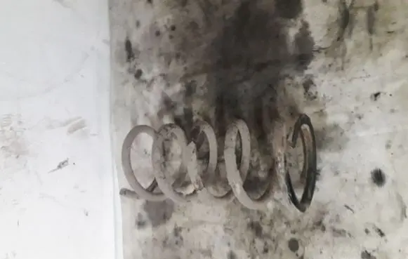 Toyota Avensis Verso Rear coil spring