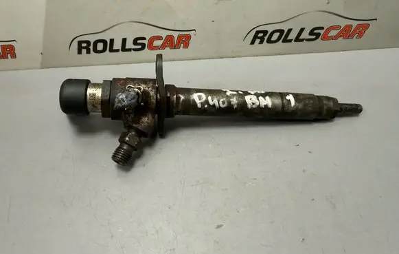 Peugeot 407 Fuel injector 5U3Q9K546AA