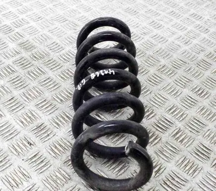 Ford Mustang Mach-E Rear coil spring LJ9C5560BNF