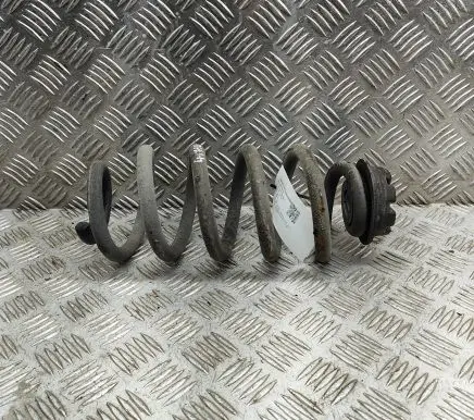 Nissan Qashqai Rear coil spring 550204EA5B