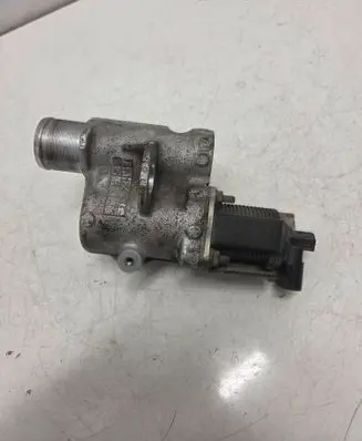 Renault Clio II EGR valve 53623012 20205AE PPSGF40