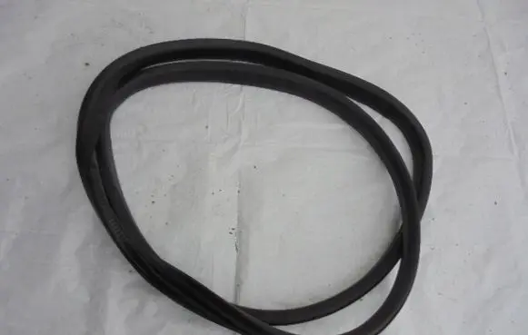 Renault Megane IV Rubber seal rear door 