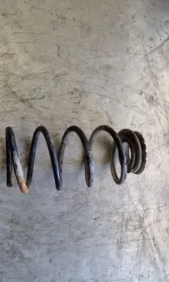 Opel Adam Rear coil spring 