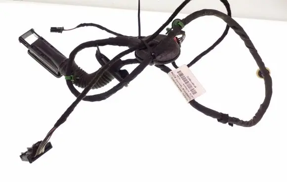 Rear door wiring loom