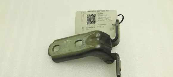 Citroen C3 Aircross Rear door lower hinge A046057