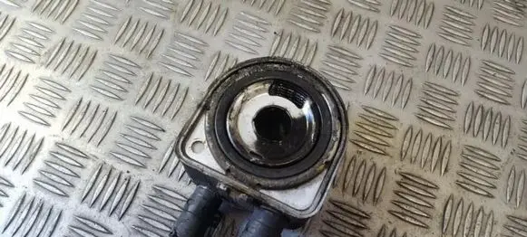Citroen Xsara Picasso Engine oil radiator 
