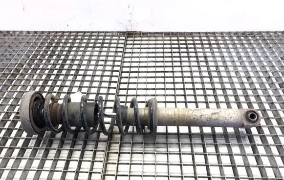 Rear shock absorber/damper