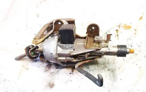 Renault Scenic II - Grand scenic II Power steering pump 50300389 20557