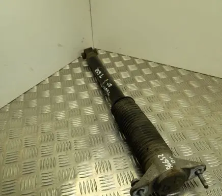 Tesla Model 3 Rear shock absorber/damper 104446101E