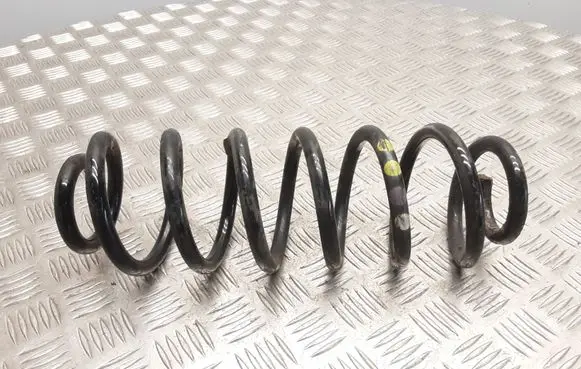 Volkswagen PASSAT B7 Rear coil spring