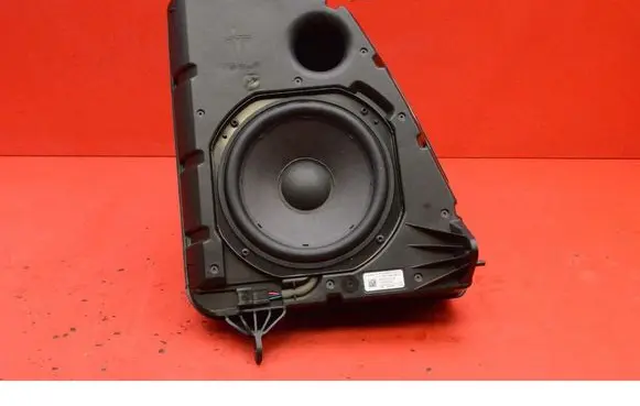 Tesla Model Y Subwoofer speaker 165626700B