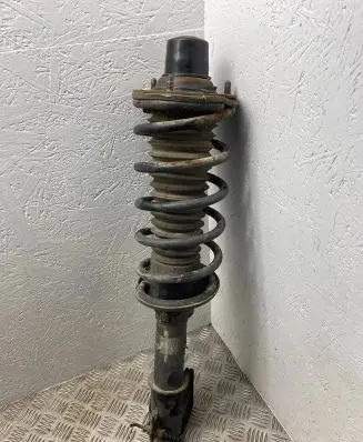 Land Rover Freelander Rear shock absorber with coil spring 101650