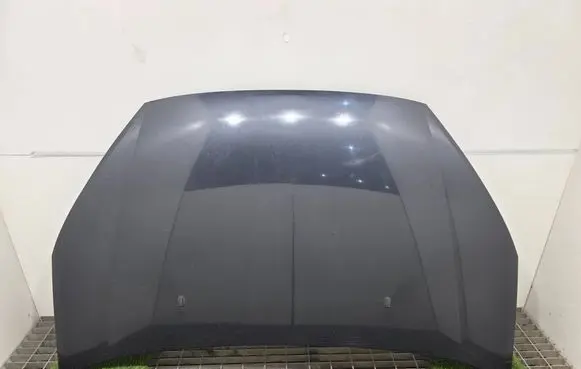 Ford Galaxy Engine bonnet/hood 