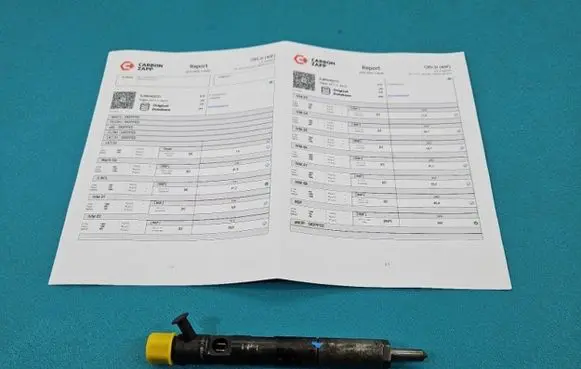 Renault Kangoo I Fuel injector EJBR04001D IMPRK1439359
