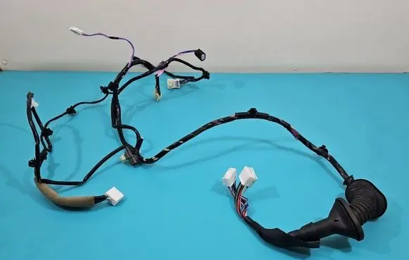 Front door wiring loom