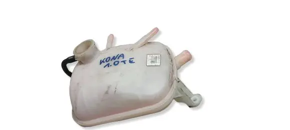 Hyundai Kona I Coolant expansion tank/reservoir 25430G4401
